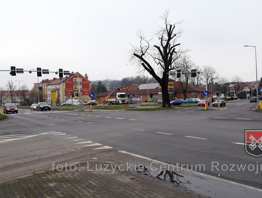 Utrudnienia na DK30. Wycinka drzewa na skrzyżowaniu z ul. Lwówecką w Lubaniu