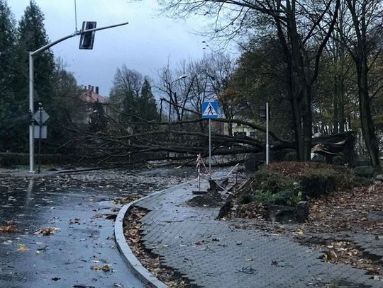 Uwaga! Będzie mocno wiało