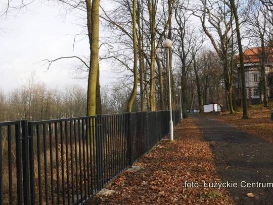 W trosce o zielone płuca miasta