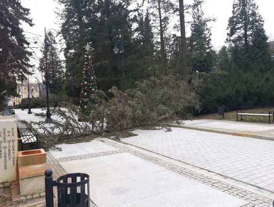 Wiatr łamał drzewa w Świeradowie-Zdroju