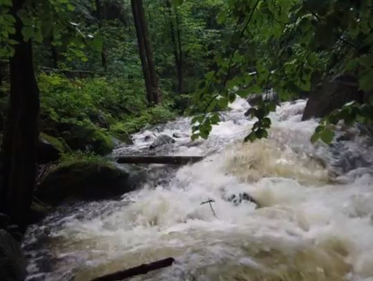Wideo. Rekordowe opady w Świeradowie-Zdroju