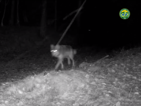 [WIDEO]. Spotkanie na szczycie w Karkonoskim Parku Narodowym