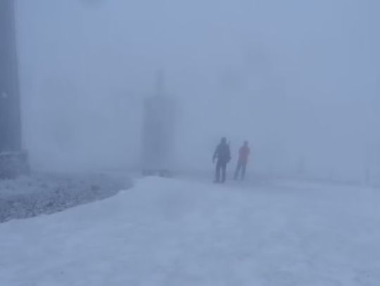 Wideo. W Karkonoszach wichura łamie drzewa