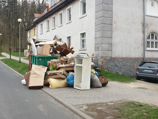 Wiosenna odkrywka! O... przepraszamy wystawka!