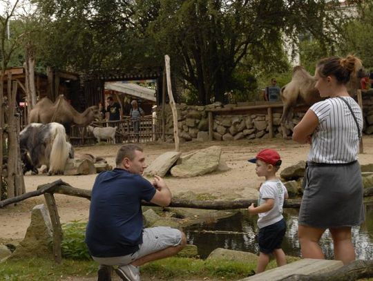 Wizyta w Zoo nie różni się niczym od spaceru na świeżym powietrzu