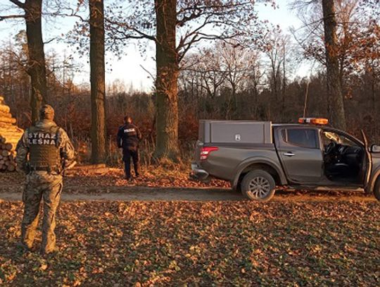 Wspólne patrole policji i strazy leśnej