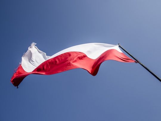 Wybory - udział obywateli polskich