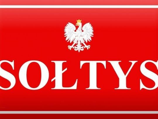 Wybory w Złotnikach Lubańskich