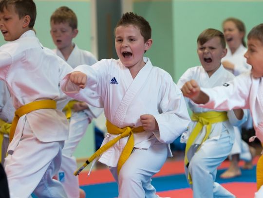 XIV Turniej Samuraja w Karate  -  Pisarzowice 2017