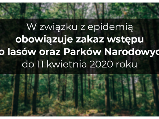 Zakaz wstępu do lasów