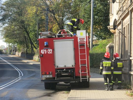 Zapłonął samochód