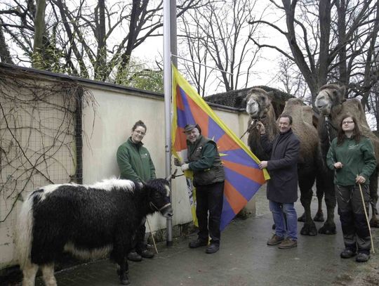 Zawieszenie flagi dla Tybetu i obrony praw człowieka