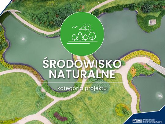 Zielona Przystań – Startujemy!