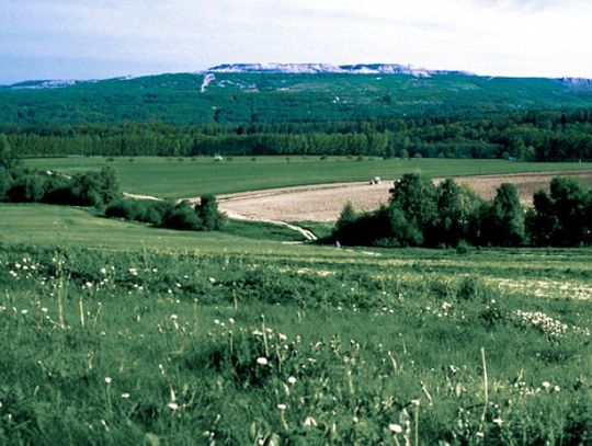 Zielone wzgórza od górników z PGE GiEK