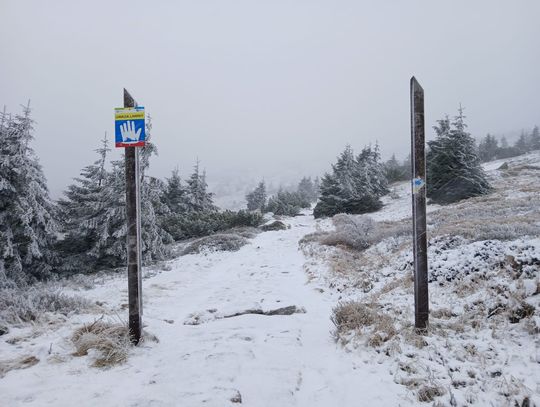 Zimowy komunikat Karkonoskiego Parku Narodowego