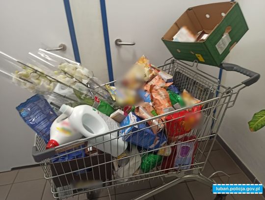 Złodzieje z powiatu bolesławieckiego na występach w Lubaniu