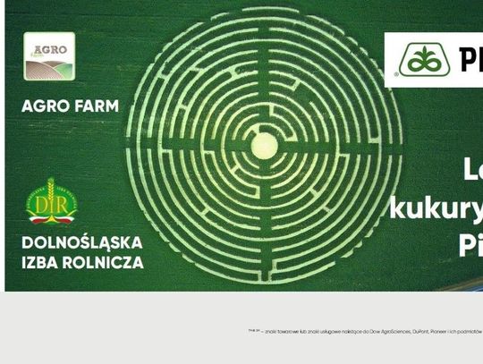 Zwiedzanie labiryntu w Pisarzowicach już w piątek