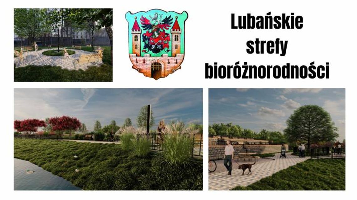 10,5 miliona złotych na bioróżnorodne lubańskie planty