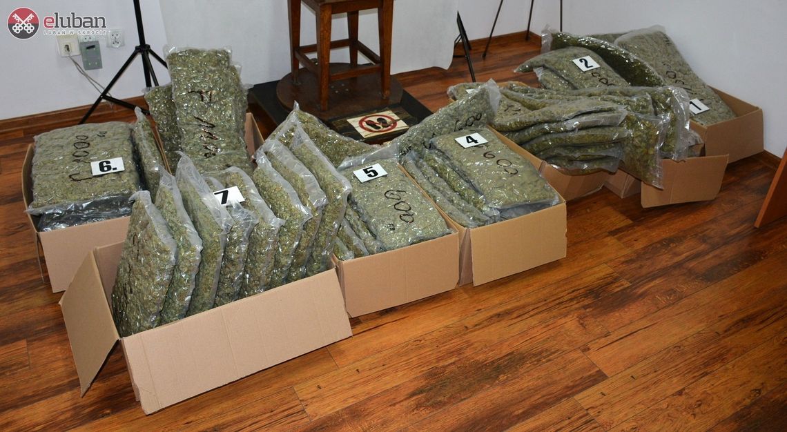 58 kg marihuany przechwycone przez zgorzeleckich pograniczników