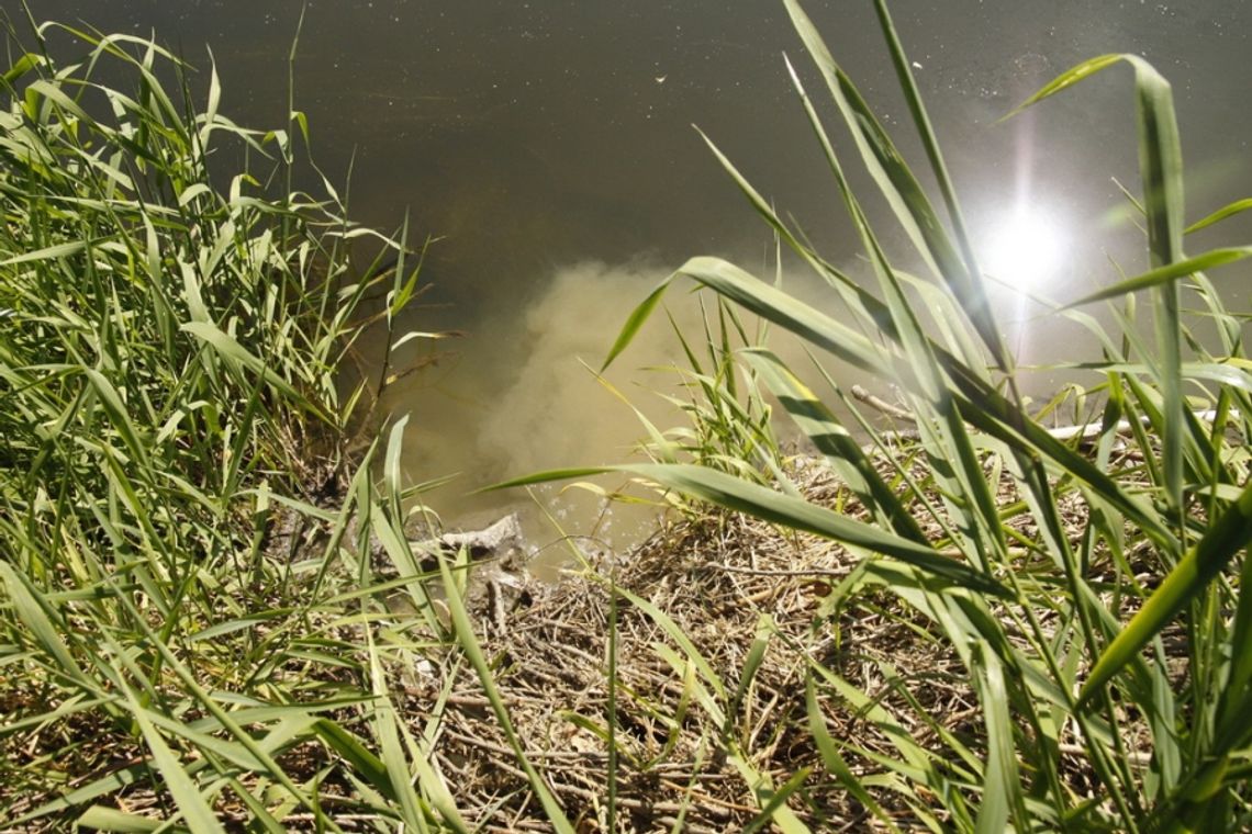 Aktywne działania nad wodą