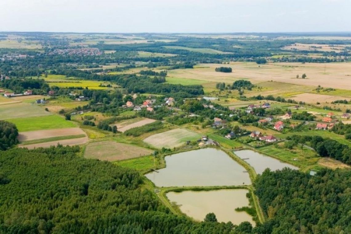 Będzie strefa ekonomiczna w gminie?