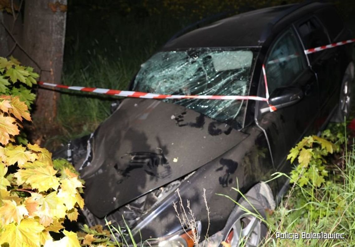 Bolesławiec. Rozbił auto i zwyzywał policjantów