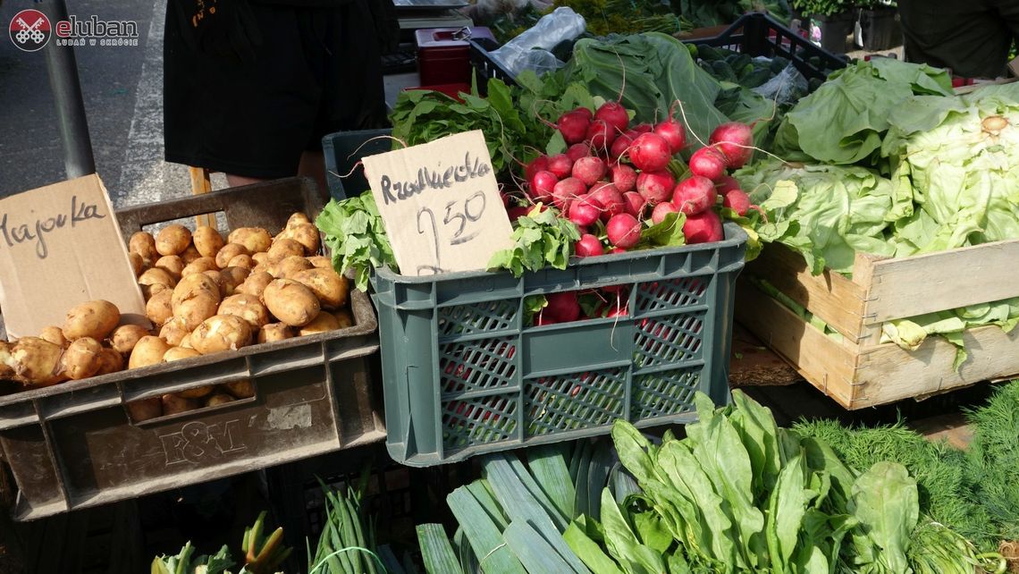Ceny warzyw, owoców i rozsad na rynku w Lubaniu [FOTOGALERIA]