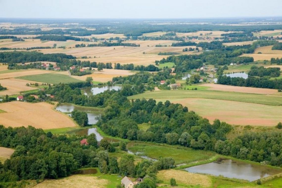 Co jest potrzebne gminie Lubań?