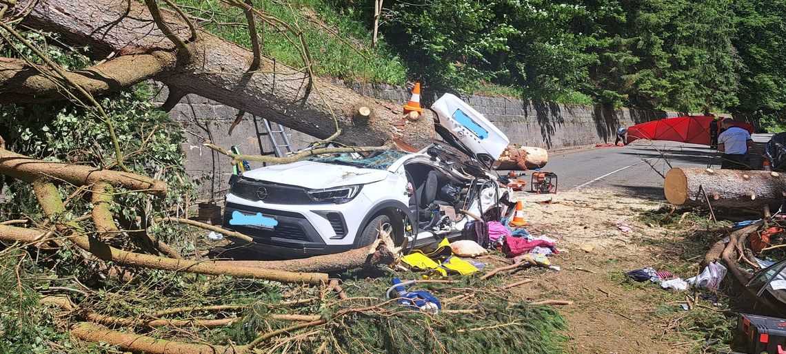 Czechy. Tragiczny wypadek w Karkonoszach. Drzewo zmiażdżyło przejeżdżające auto. Zginęły trzy osoby.