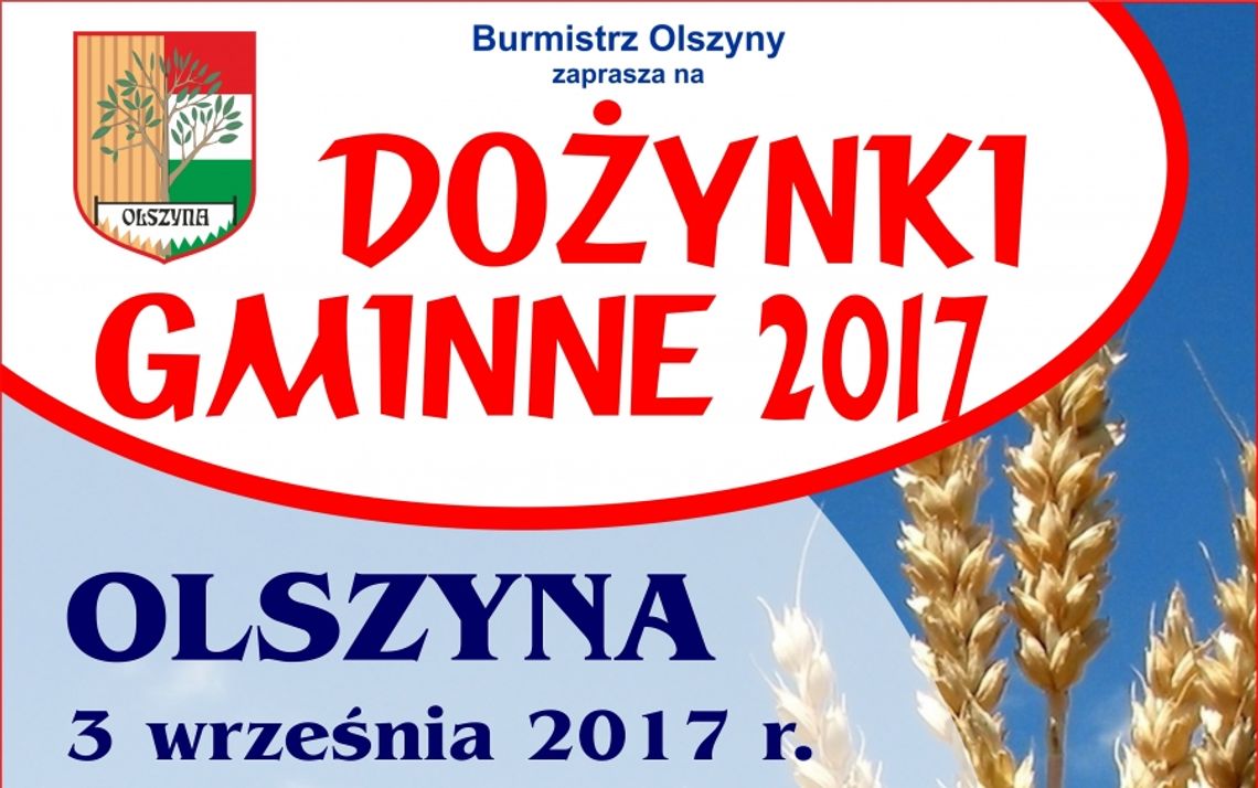 Dożynki Gminne 2017