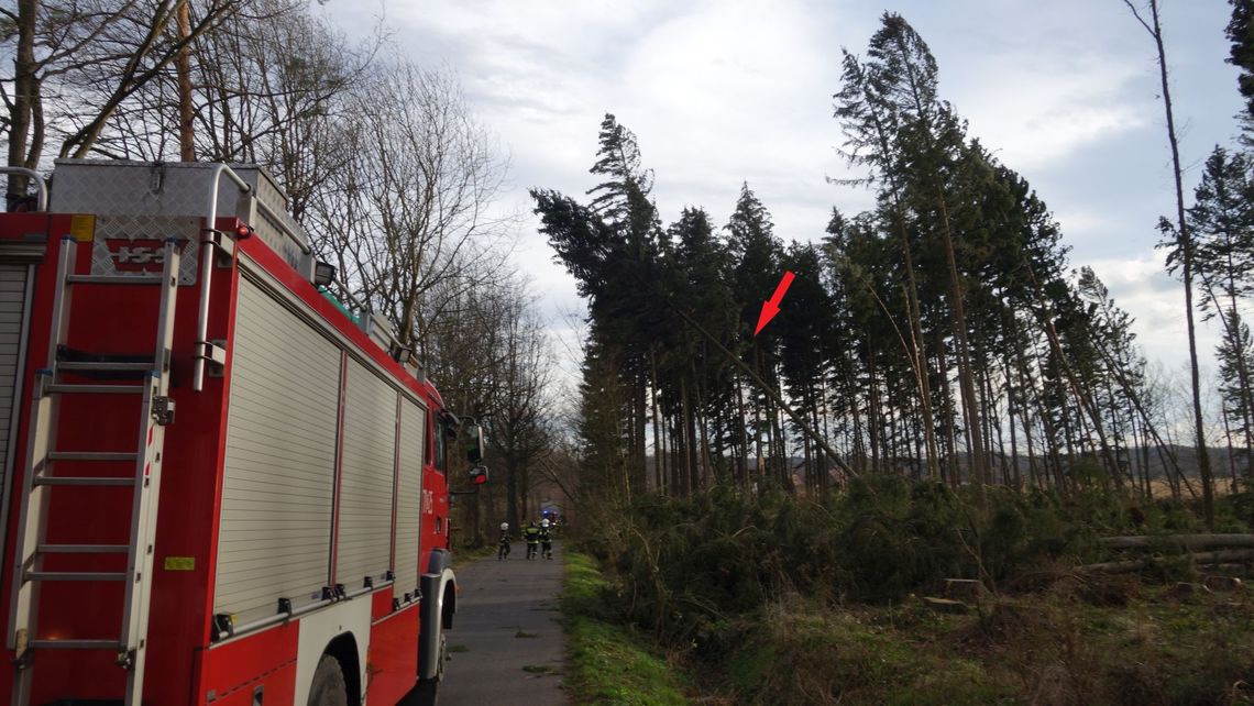 Drzewo nieomal upadło na strażaków