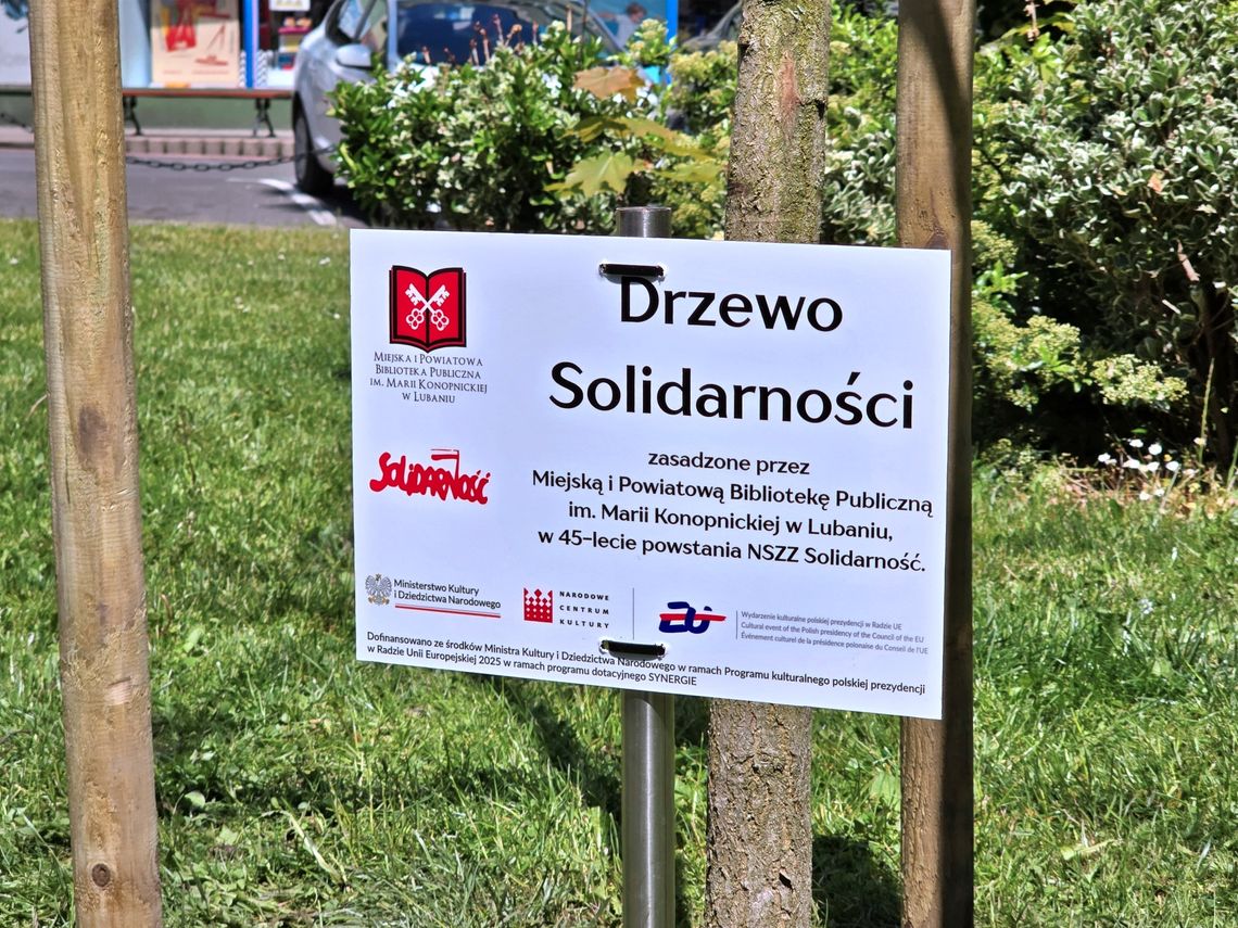 Drzewo Solidarności w Parku Niepodległości