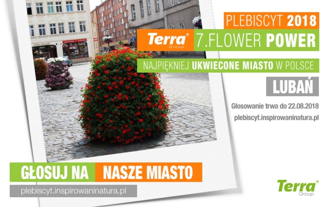 Głosujemy na najładniej ukwiecone miasto