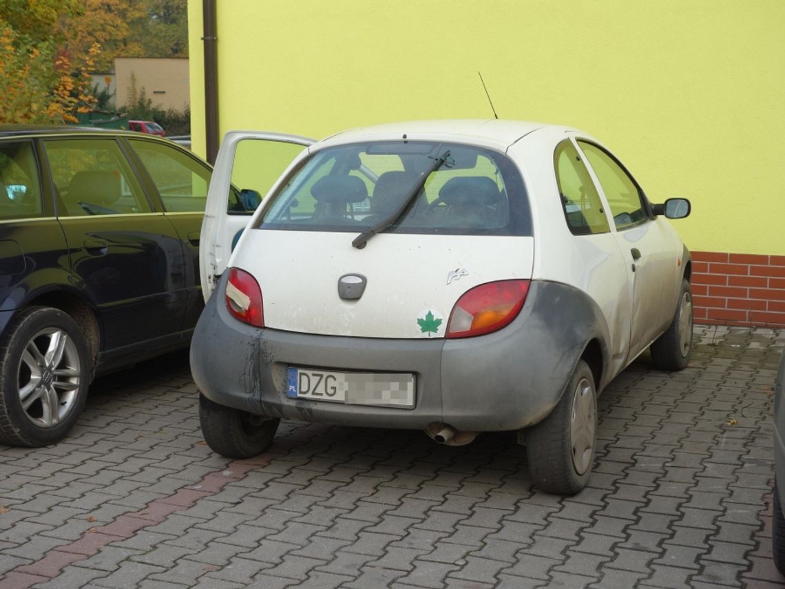 Gościnne występy mieszkańców Zgorzelca