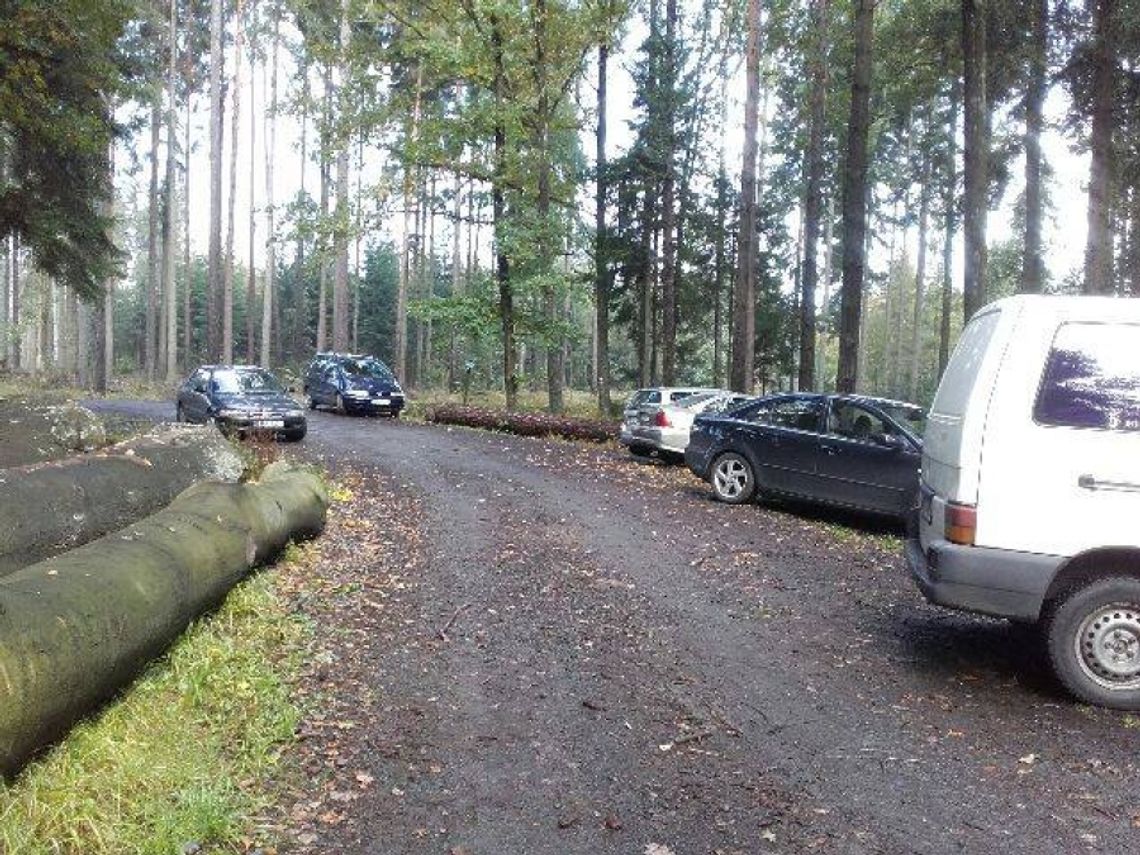 Grzybiarzu, parkuj z głową!