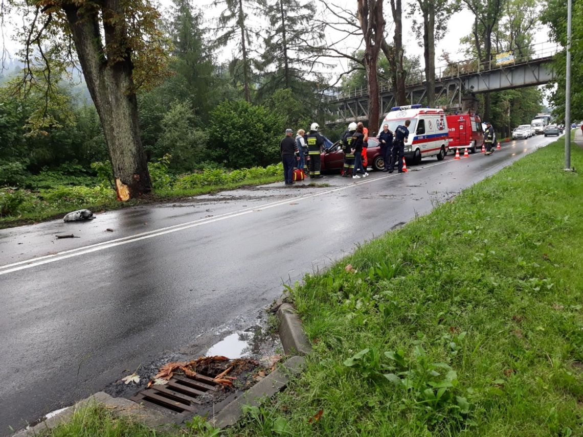 Hondą w drzewo. Kolejne zdarzenie drogowe