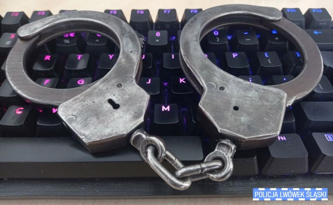 Internetowy oszust w rękach policji. Udowodniono mu 64 oszustwa