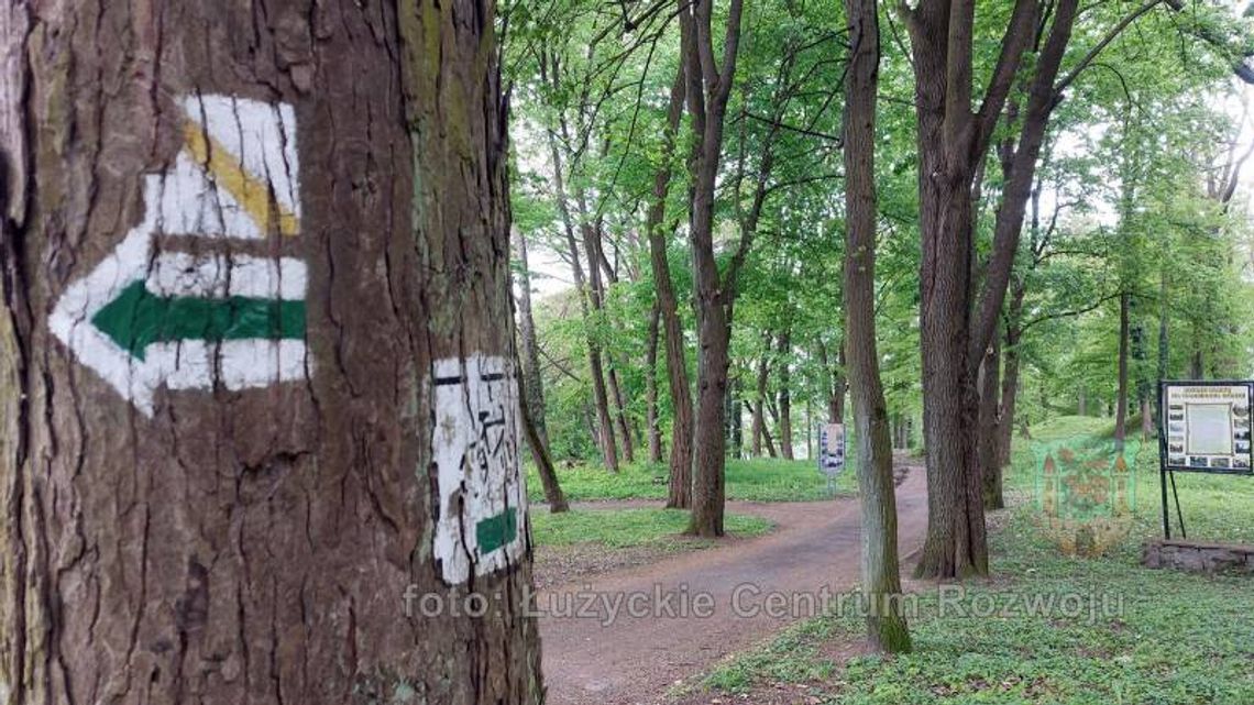 Jak Lubań dba o park na Kamiennej Górze?