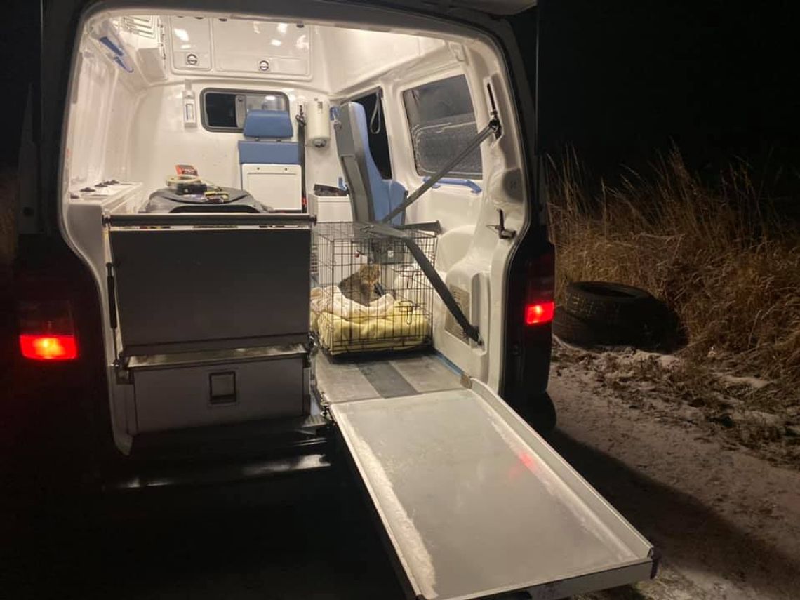 Już jest! Pierwszy ambulans dla zwierząt na Dolnym Śląsku