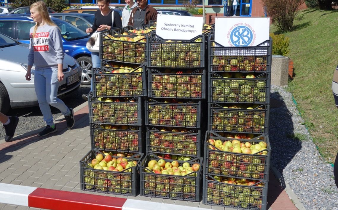 Już teraz. Dwa świąteczne TIR-y jabłek