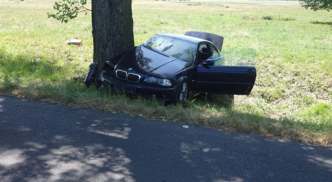 Kierowca pod wpływem rozbił się na drzewie