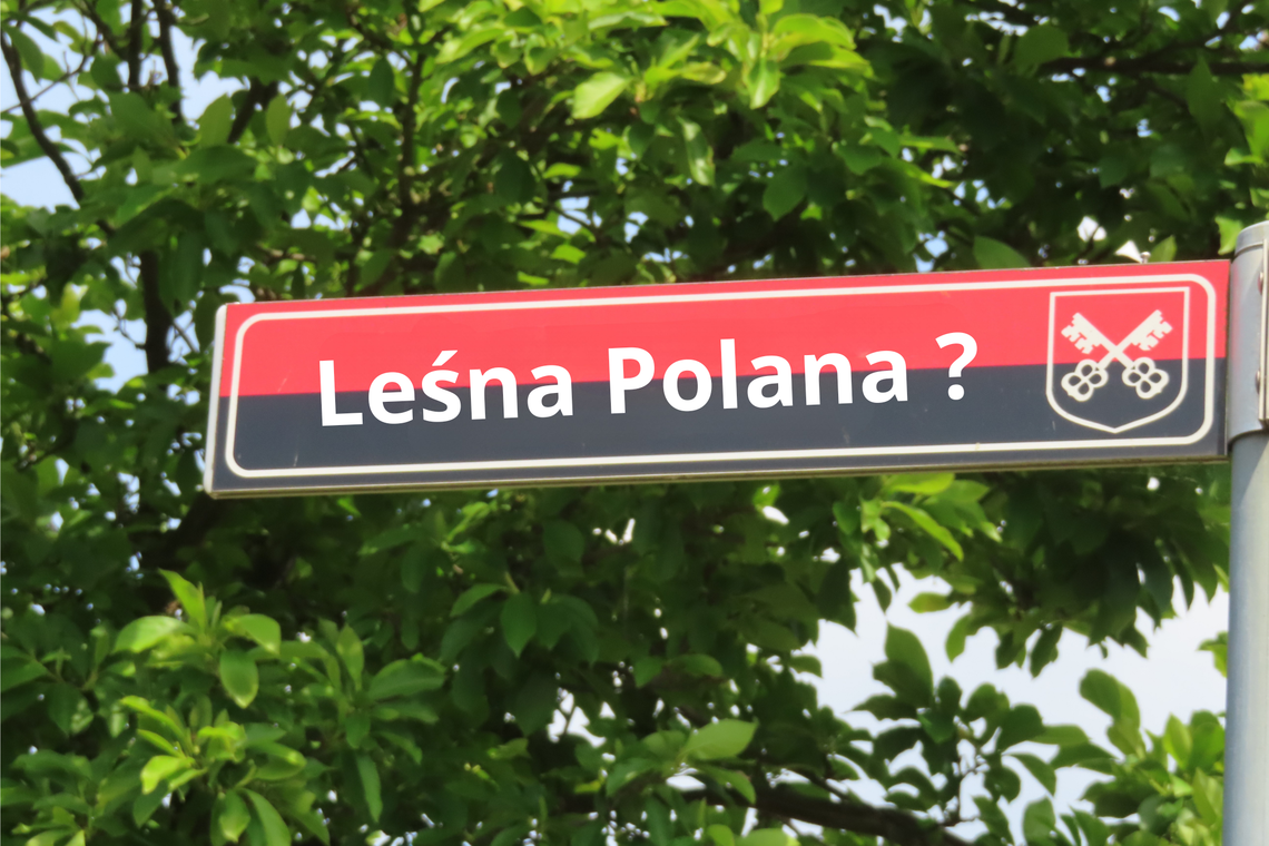 Kłopot z nazwą ulicy. Radni dyskutują „Drużynowa”,„Leśna Polana”, a może Braterska?