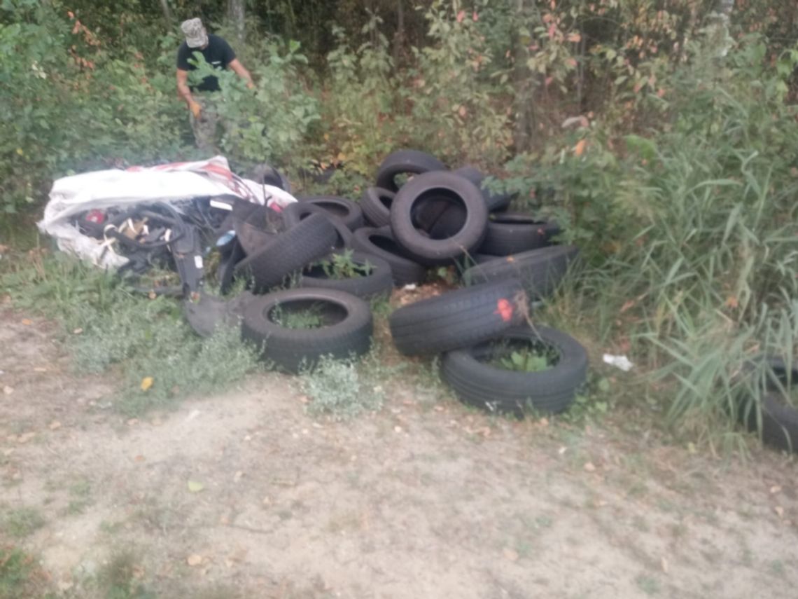 Kolejne wspólne działania Policji i Straży Leśnej