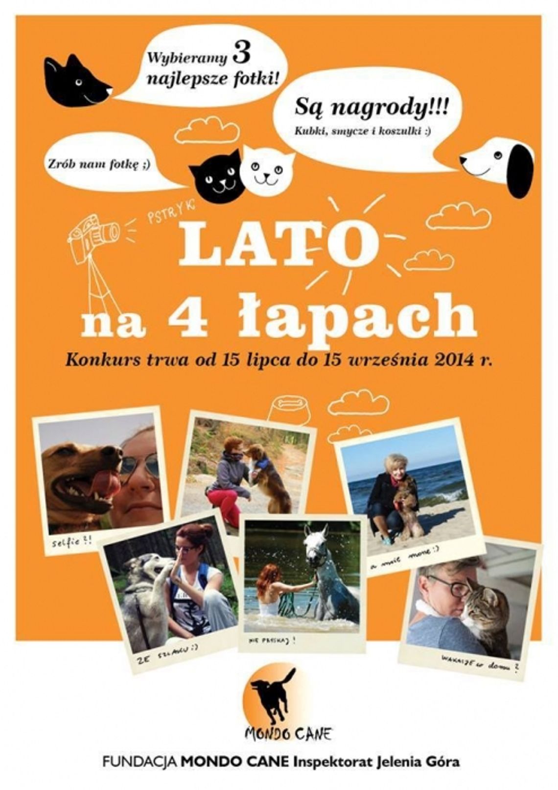 Lato na czterech łapach