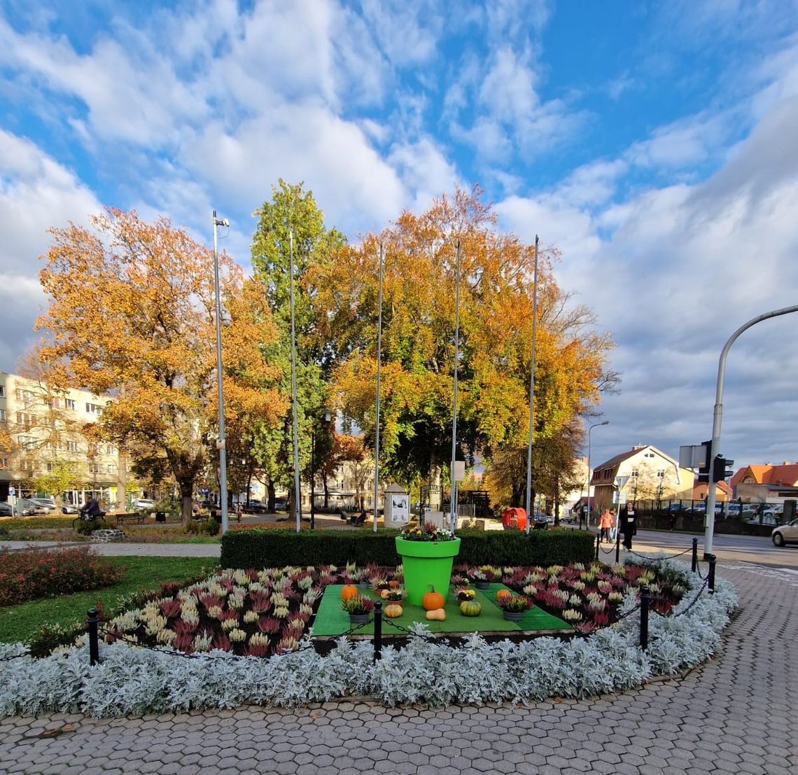 Lubań. Klomb pod Wieżą Bracką w jesiennej odsłonie