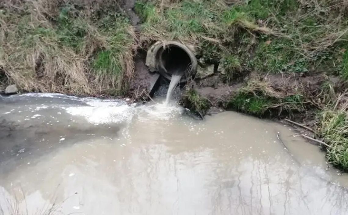 Lubań. Ścieki w deszczówce? Ruszają kontrole kanalizacji