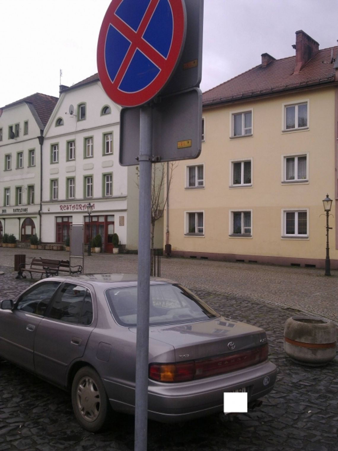 Mistrzowie parkowania w obiektywnie miejskich strażników