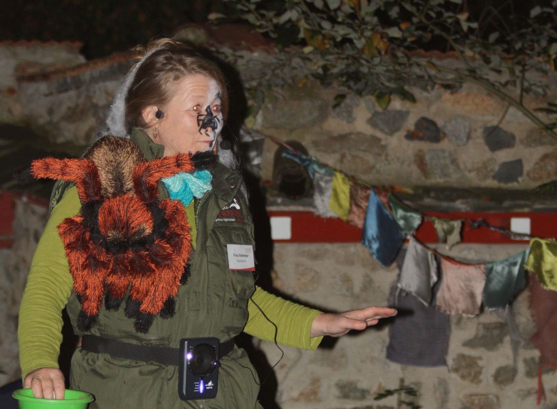 Nasze Zoo strasznie zaprasza na Halloween