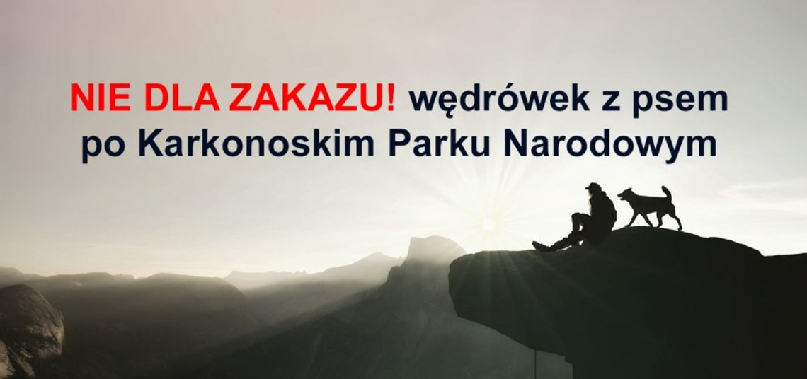 NIE DLA ZAKAZU! wędrówki z psem po Karkonoskim Parku Narodowym