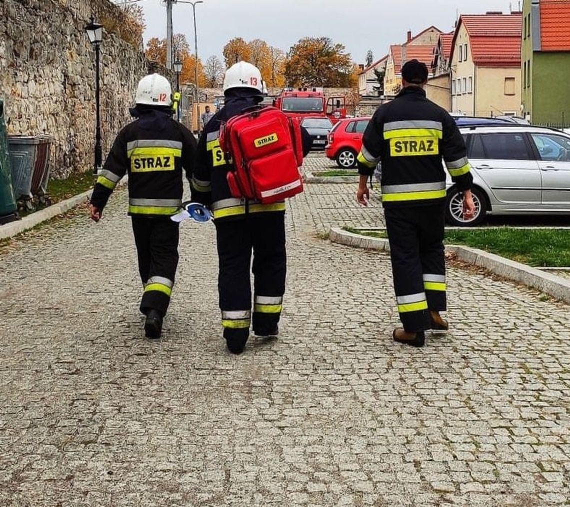 Nowogrodziec. Strażacy uratowali 2-letnie dziecko